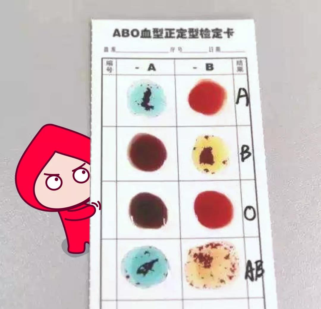 献血不合格？别怕！仔细了解一下献血前血液检测