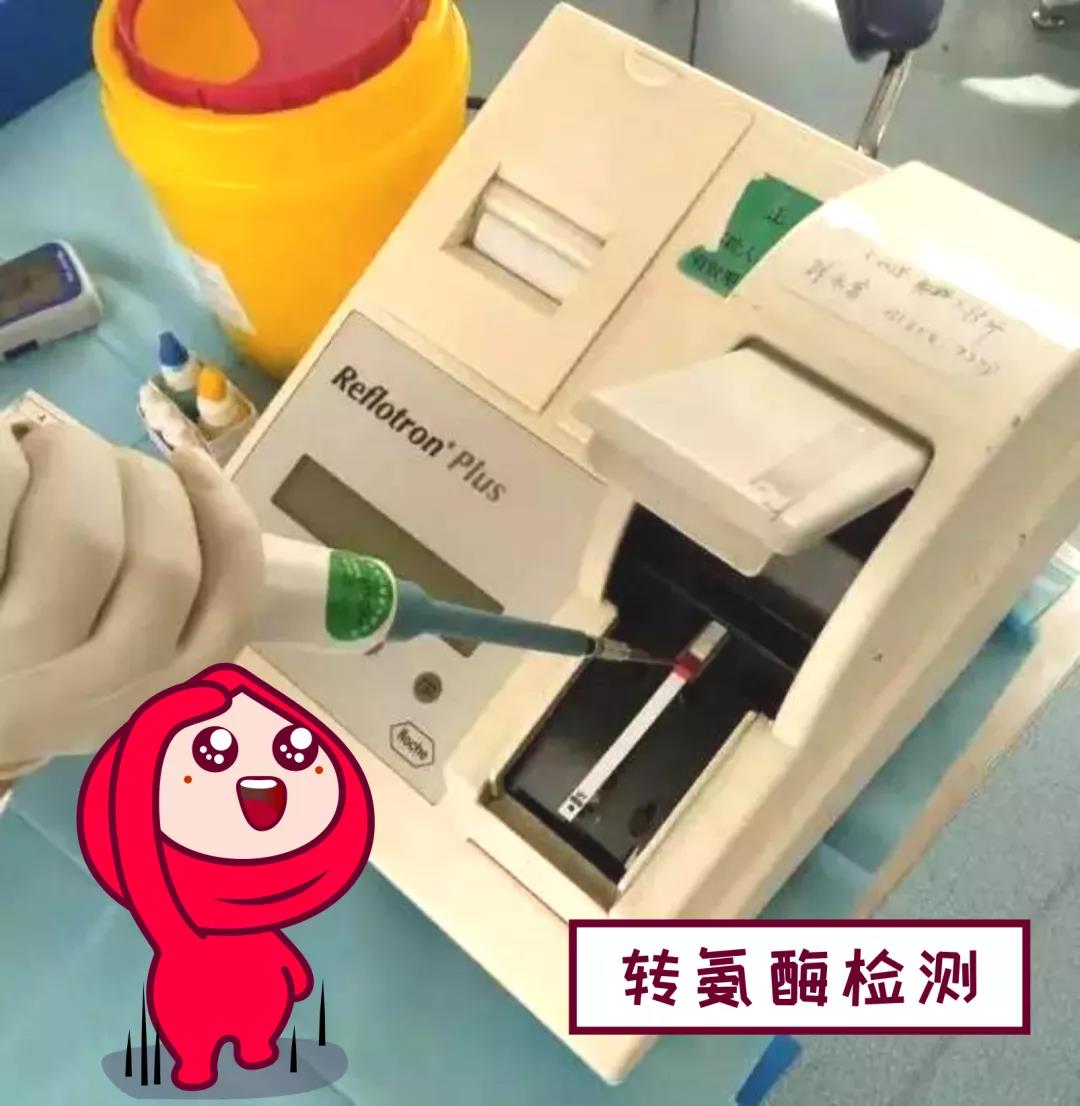 献血不合格？别怕！仔细了解一下献血前血液检测