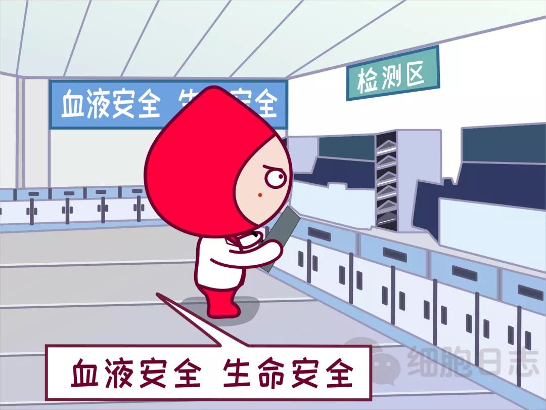 献血不合格？别怕！仔细了解一下献血前血液检测