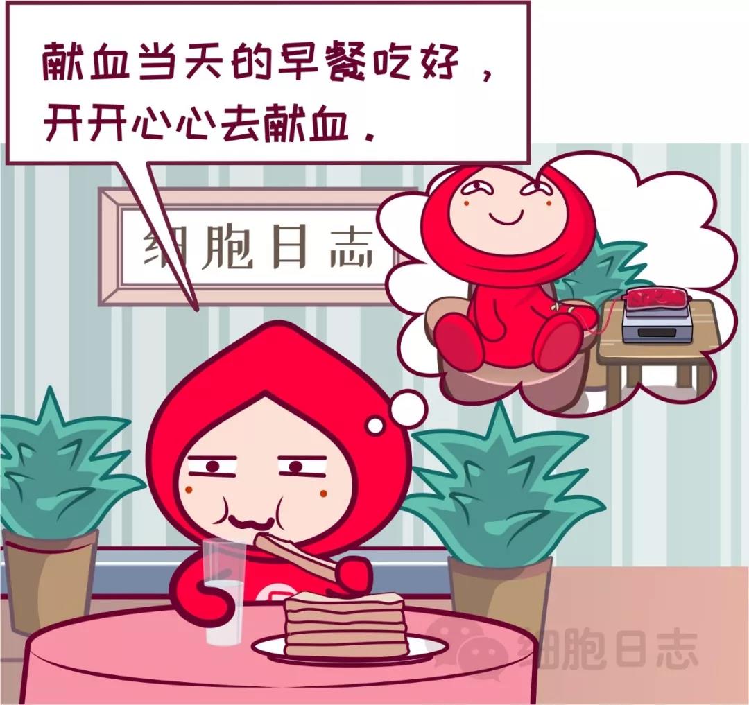 捐献全血和抽血体检一样需要空腹？其实不然！