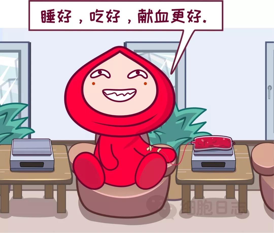 捐献全血和抽血体检一样需要空腹？其实不然！