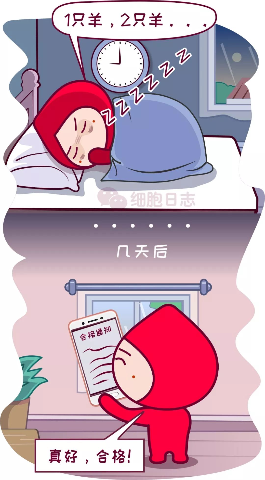献血拔针后就完事了？别小看这几件事儿！