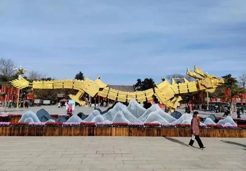 传统庙会全面恢复，无偿献血同步进驻！