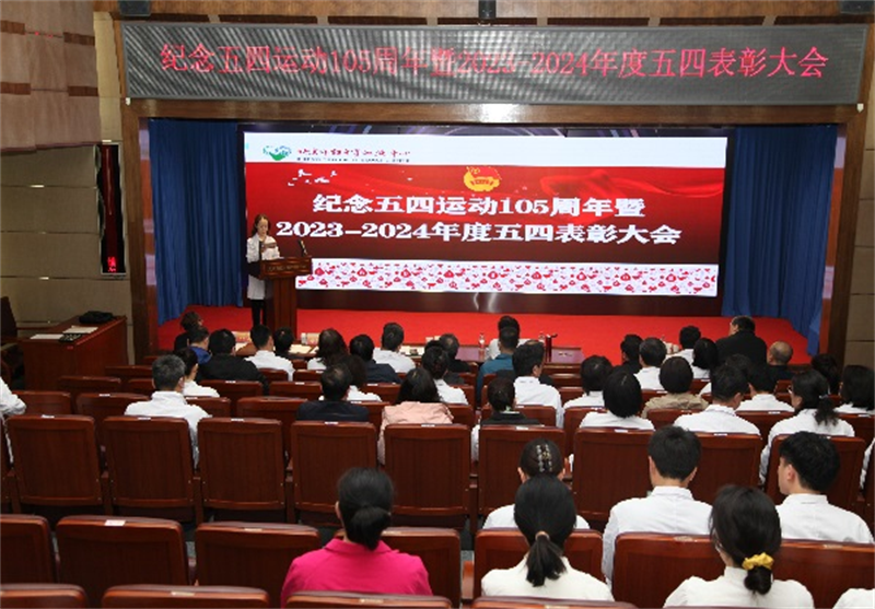 血液中心团委召开纪念五四运动105周年暨2023-2024年度五四表彰大会