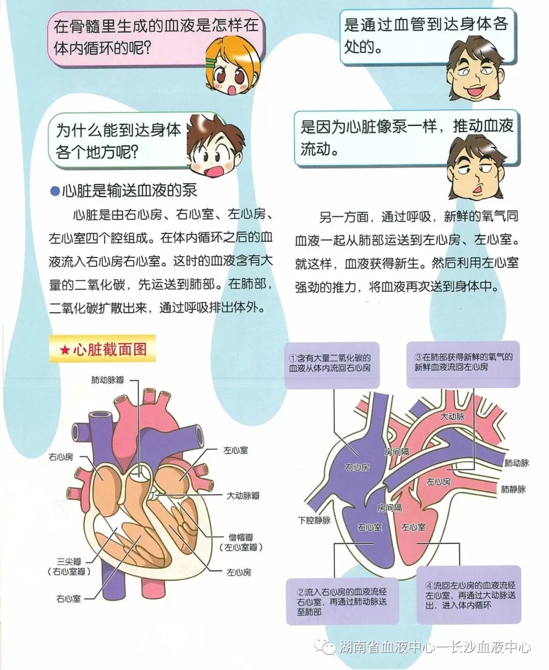 看图!!! 小编带你“研究”血液知识..