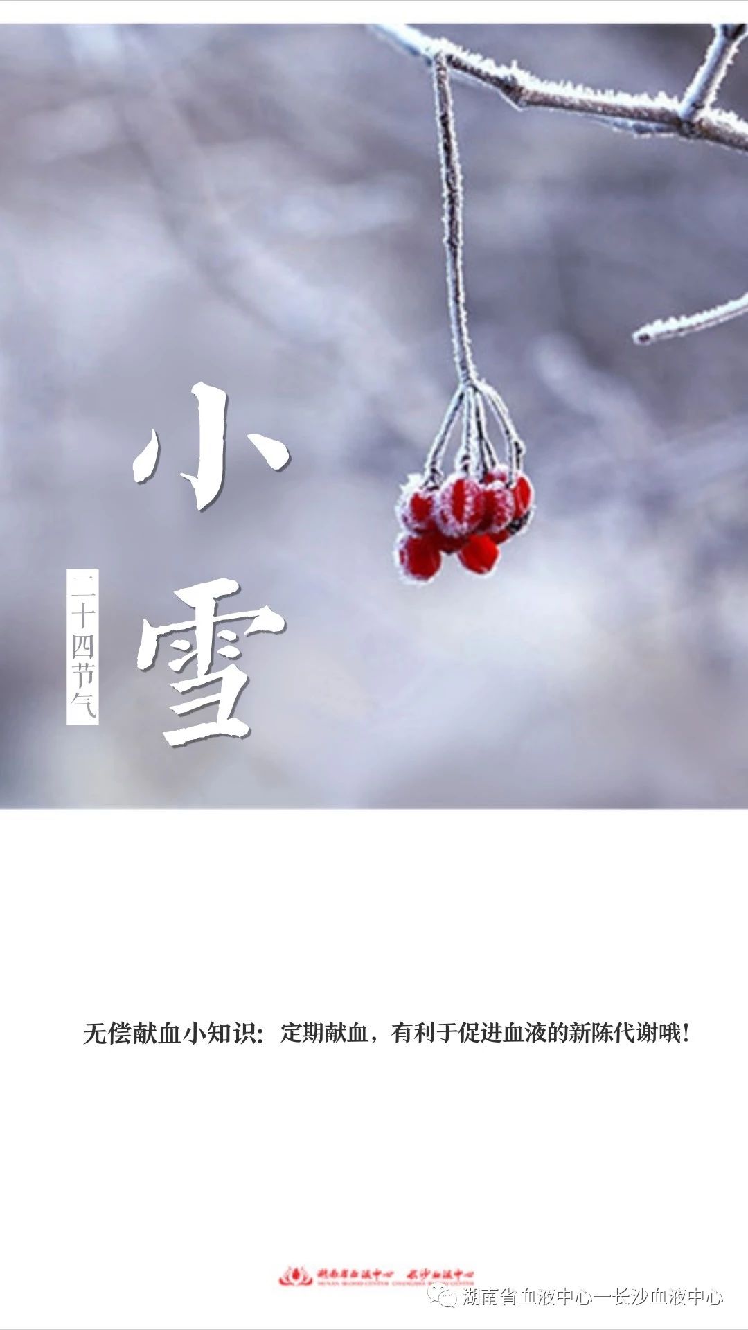 24节气-无偿献血小知识