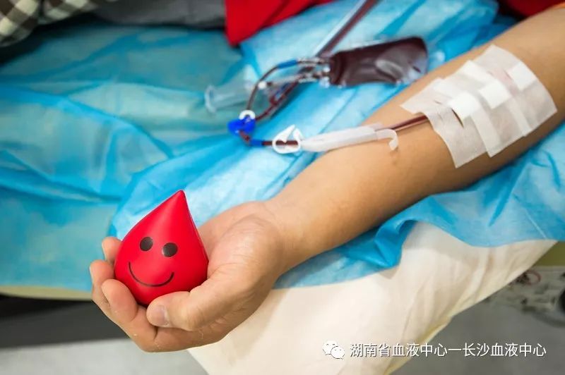 人气主播谈无偿献血