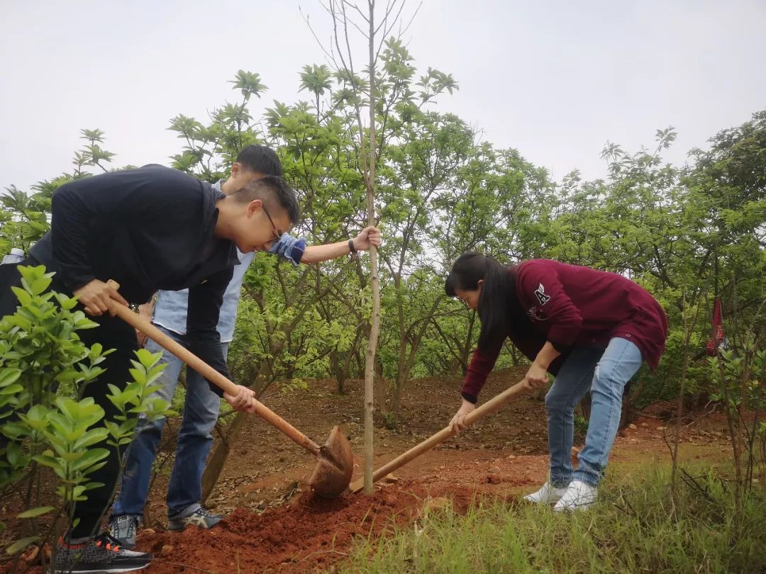 “携手植树护林 守护爱心阵地”