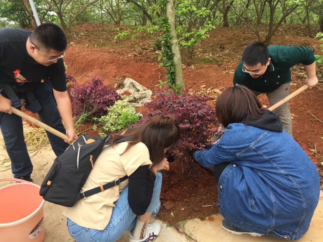 “携手植树护林 守护爱心阵地”