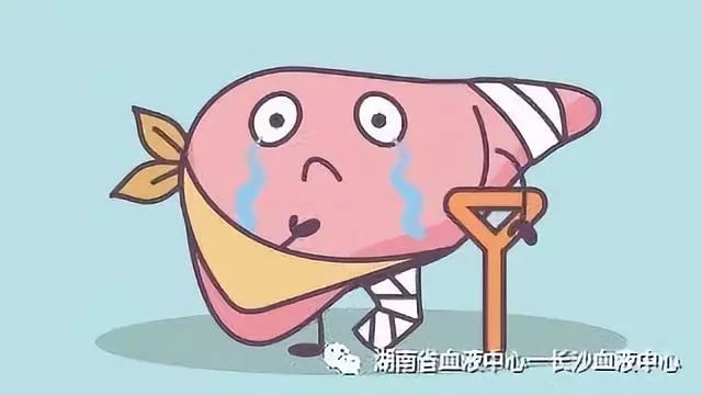 熬夜星球人，没睡好真的会变蠢！