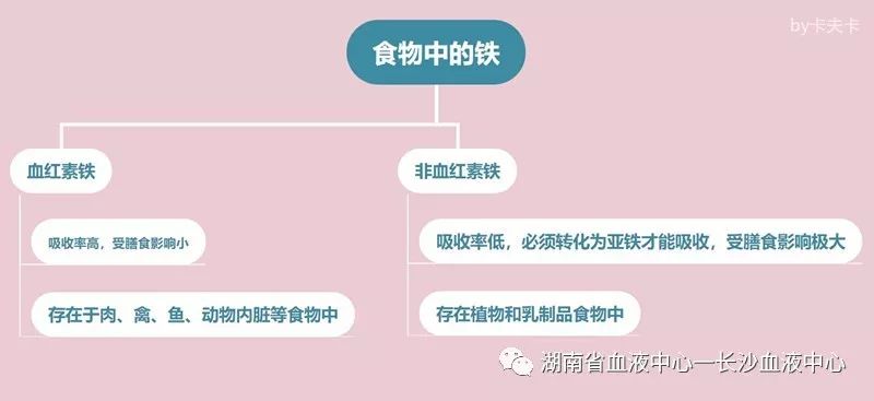 献血后，你胖了吗？