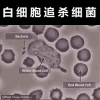 追星就追这样的星！