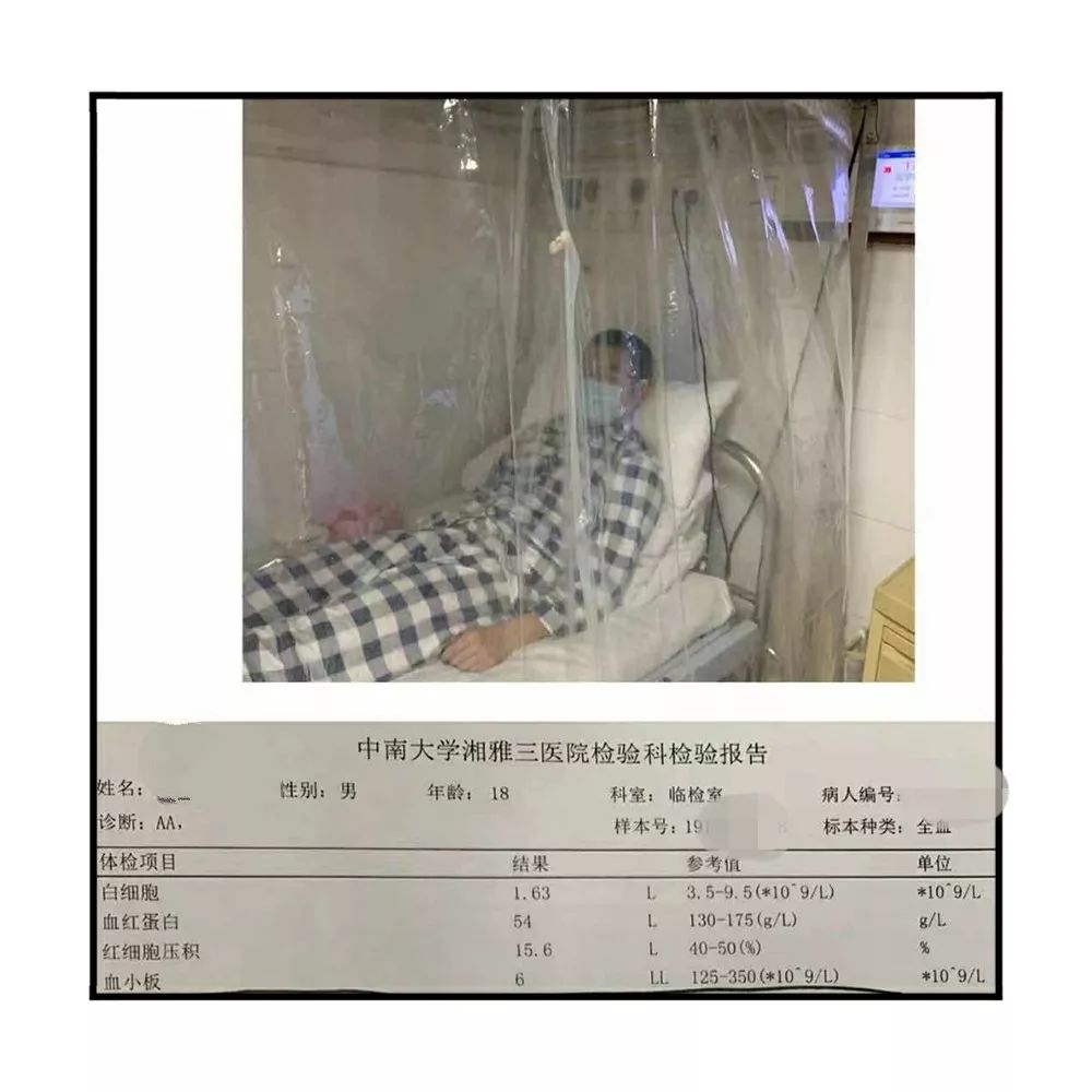求援||来自血液病房的呼唤