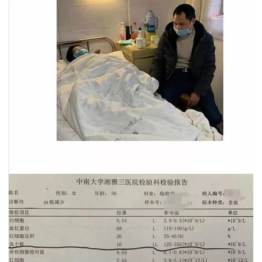 求援||来自血液病房的呼唤
