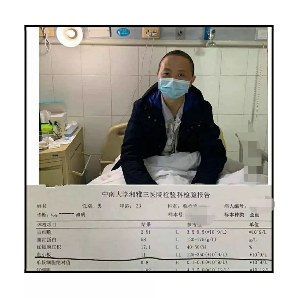 求援||来自血液病房的呼唤