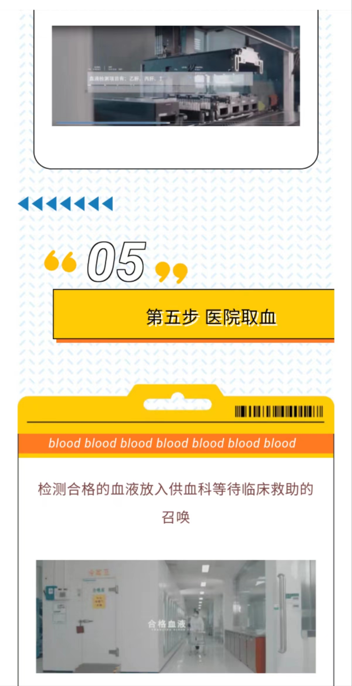 您捐献的一袋血液经历了什么？