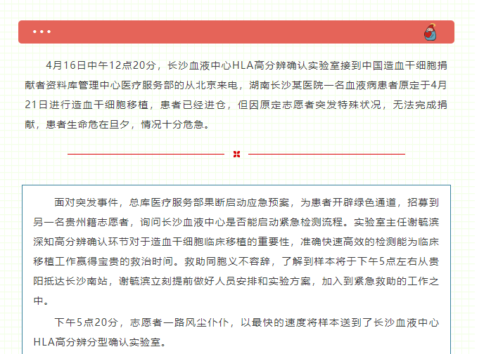 生命时速：21小时破纪录！三地接力为血液病患者点亮希望