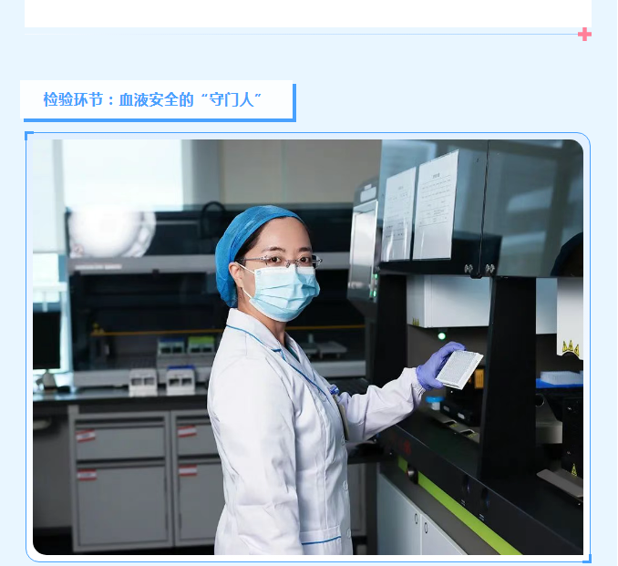 致敬医者！血液“生命线”上的守护者——走近采供血链条里的“隐形医生”