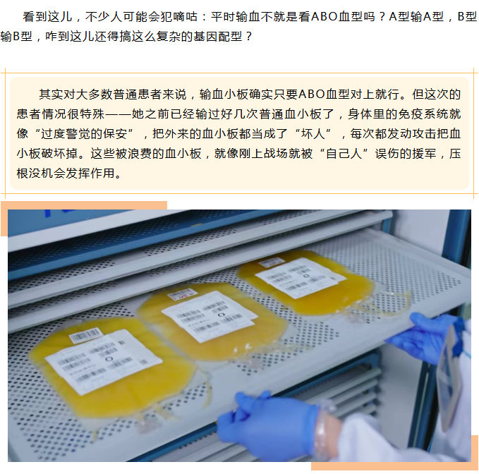 紧急呼叫！为一位陌生患者，她奔赴一场生命速递