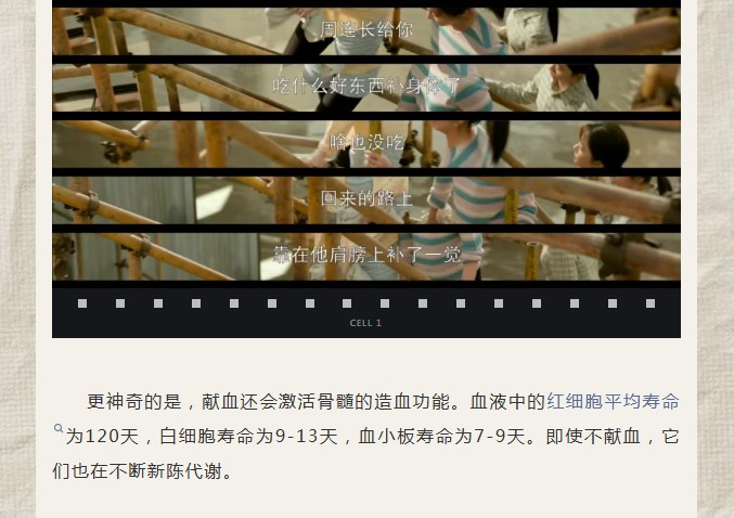 从《我的山与海》看献血：热血背后的科学真相，比剧情更动人