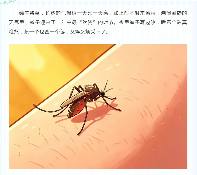 听说，蚊子和O型血的人更配？端午期间气温升高，防蚊正当时！