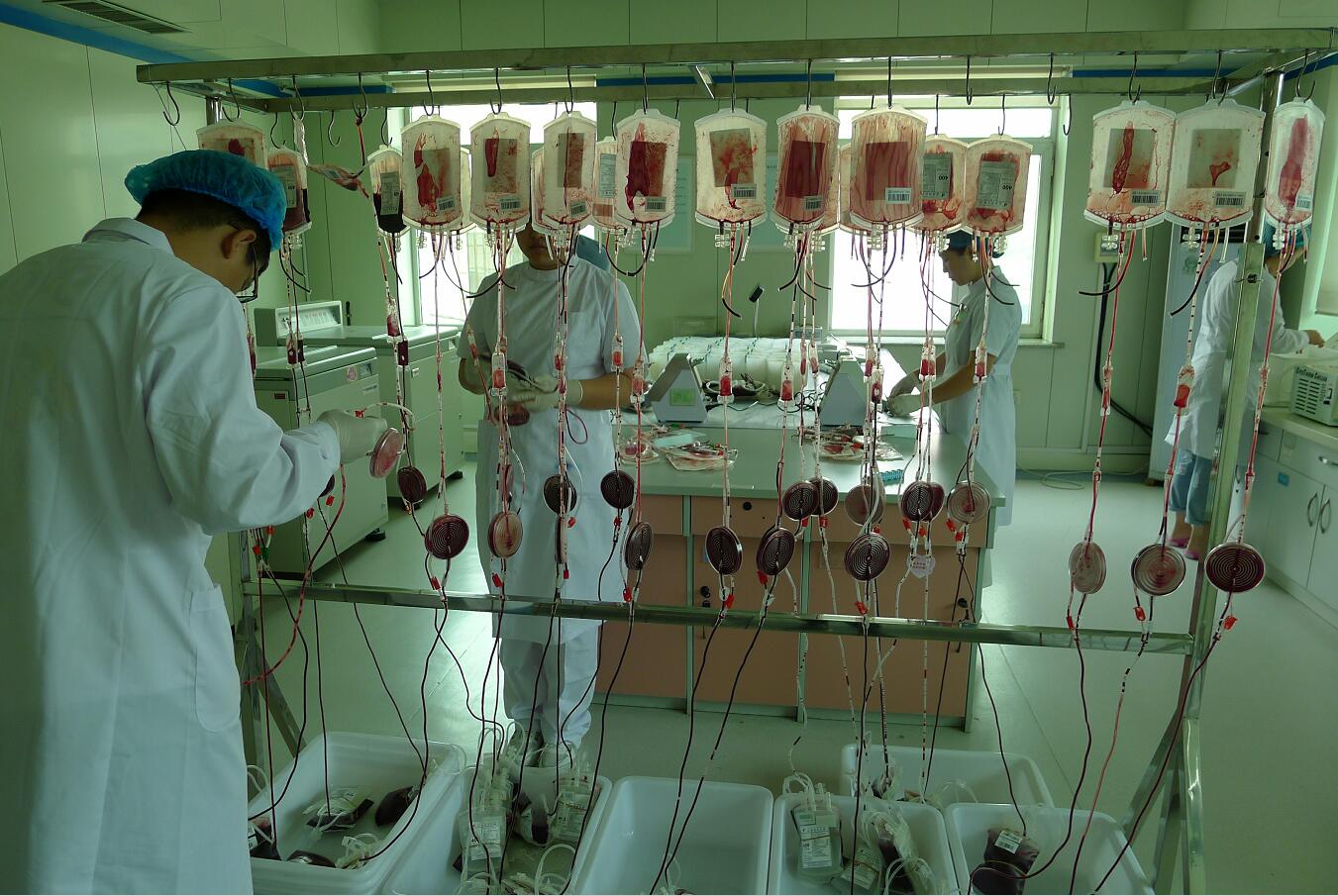 厚积薄发：一路高歌一路行——专访齐齐哈尔市红十字中心血站无偿献血工作掠影