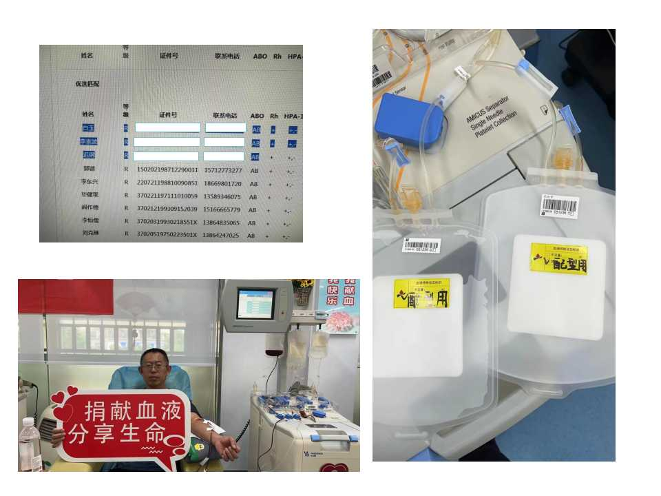 患者输注血小板无效？青岛市血小板供者基因数据库为精准输血提供强大支撑