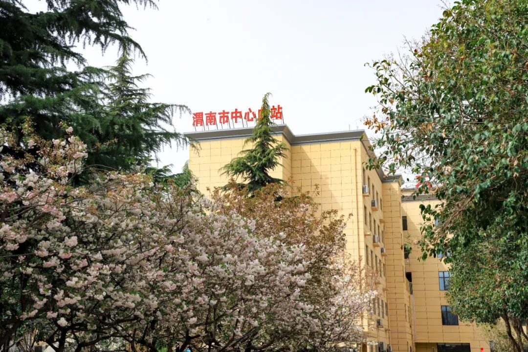喜讯！渭南市中心血站被命名为市级“园林式单位”