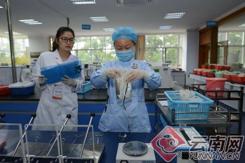 【云南网】提高实践技能 云南省采供血机构从业人员竞争“技术标兵”