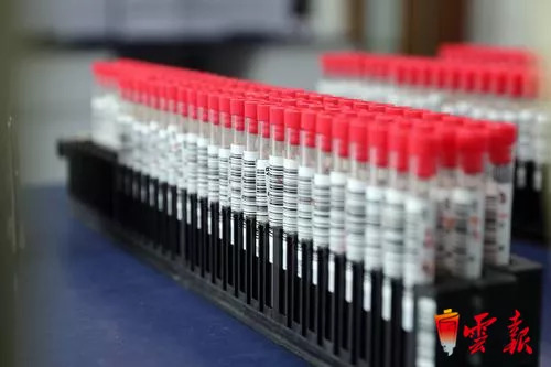 看病优先、免诊查费、免费体检!在昆明无偿献血能享受这些医疗福利 【云报客户端】看病优先、免诊查费、免费体检!在昆明无偿献血能享受这些医疗福利