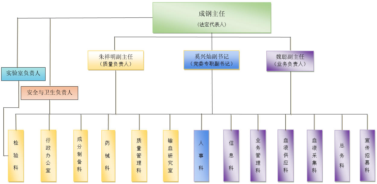 组织结构
