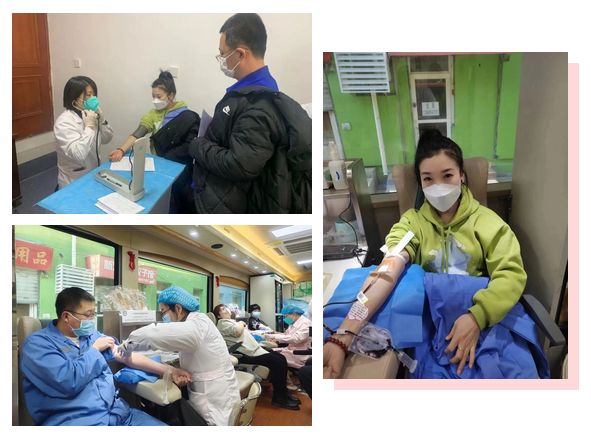 【特别关注】献爱心，传温暖-西岗区香炉礁街道开展无偿献血活动
