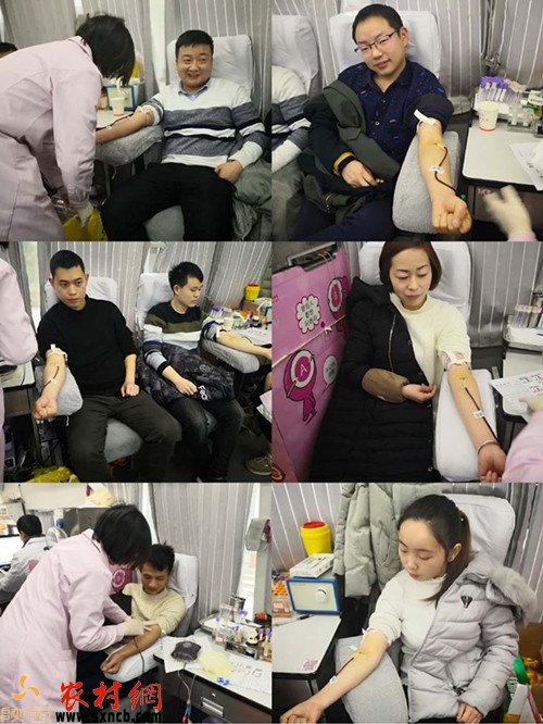 汉阴县铁佛寺镇卫生院组织职工开展无偿献血活动