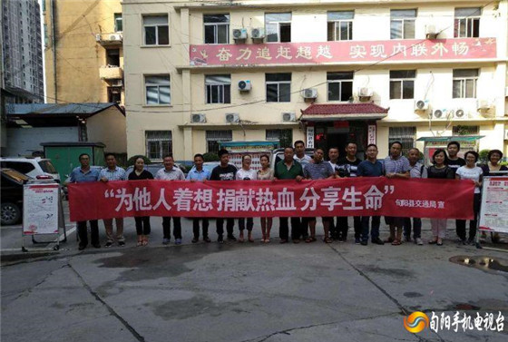 为生命接力！旬阳县交通运输局无偿献血获表彰