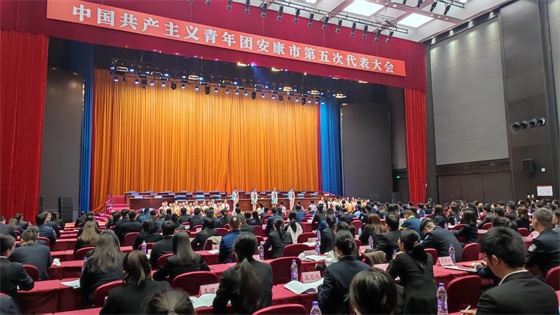 青春逢盛世，奋斗正当时——参加共青团安康市第五次团代会有感