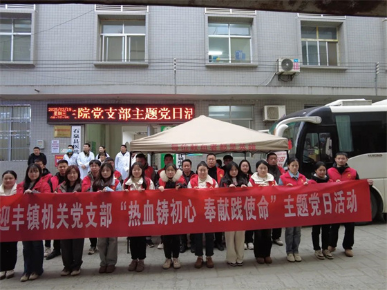 迎丰镇机关党支部开展无偿献血主题党日活动