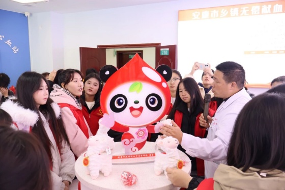 3天6支队伍500人丨安康市中心血站开放日活动火力全开！