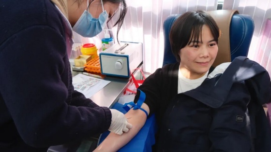 紫阳法院组织开展“热血践初心 法徽映担当”无偿献血活动