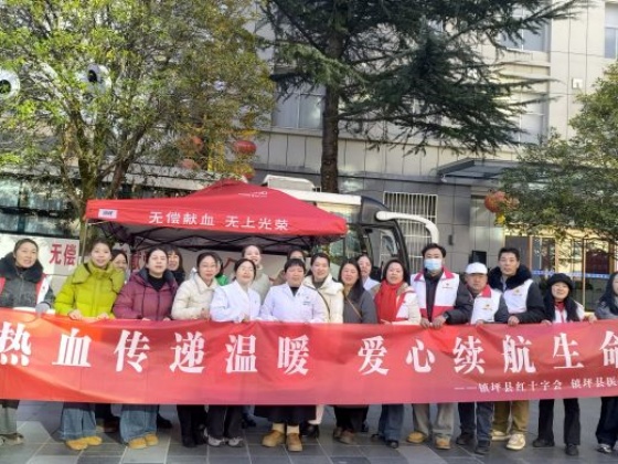 爱心汇聚广场，热血守护生命——镇坪县开展无偿献血及急救技能培训宣传活动