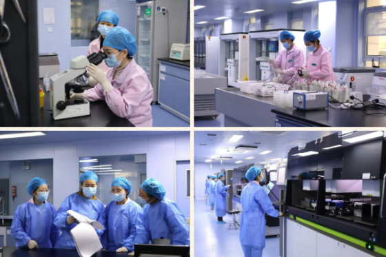 征程万里风正劲 重任千钧再出发 | 安康市中心血站2025年十大工作亮点