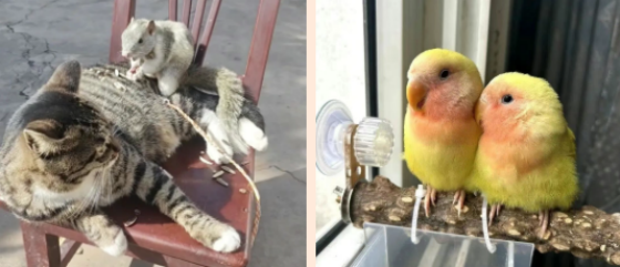 《热血安康·善举传扬》系列丨张行玺：年轻力量让血脉相融