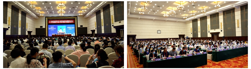 第二十届中南地区输血医学学术交流会、 河南省医学会输血医学分会暨低温医学分会学术年会成功召开