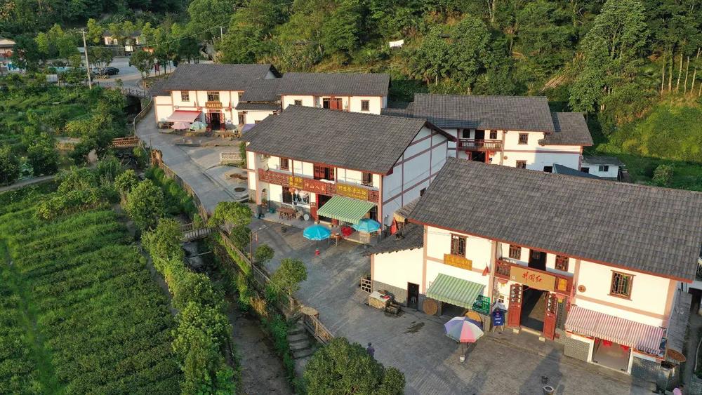 井冈山精神｜星星之火 可以燎原