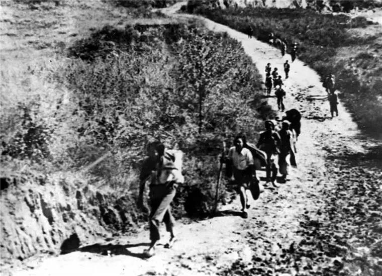 延安精神 | 宝塔光辉 映照未来