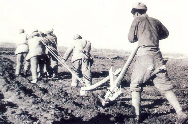 兵团精神｜屯垦戍边 扎根奉献