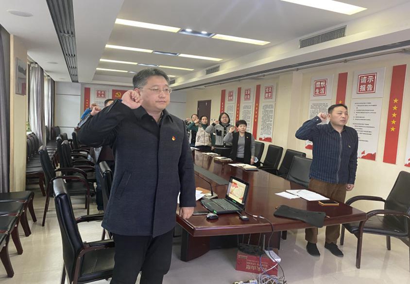 财务审计党支部召开主题党日活动