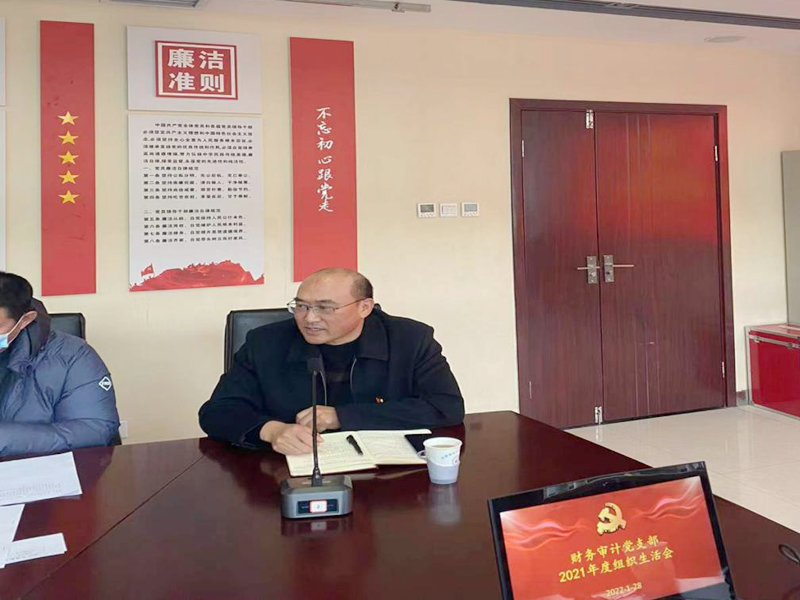 财务审计党支部召开2021年度组织生活会暨民主评议党员会议