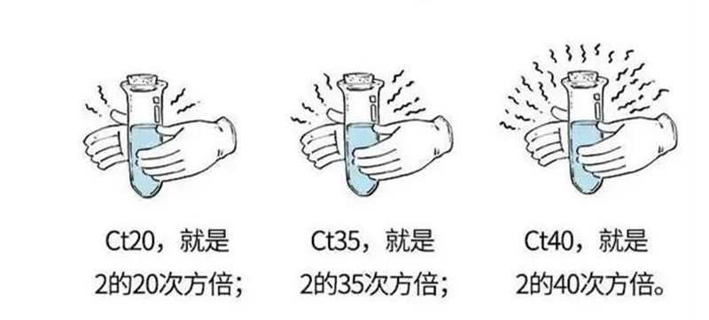 新冠抗原试剂盒上的C、T到底代表的是啥?