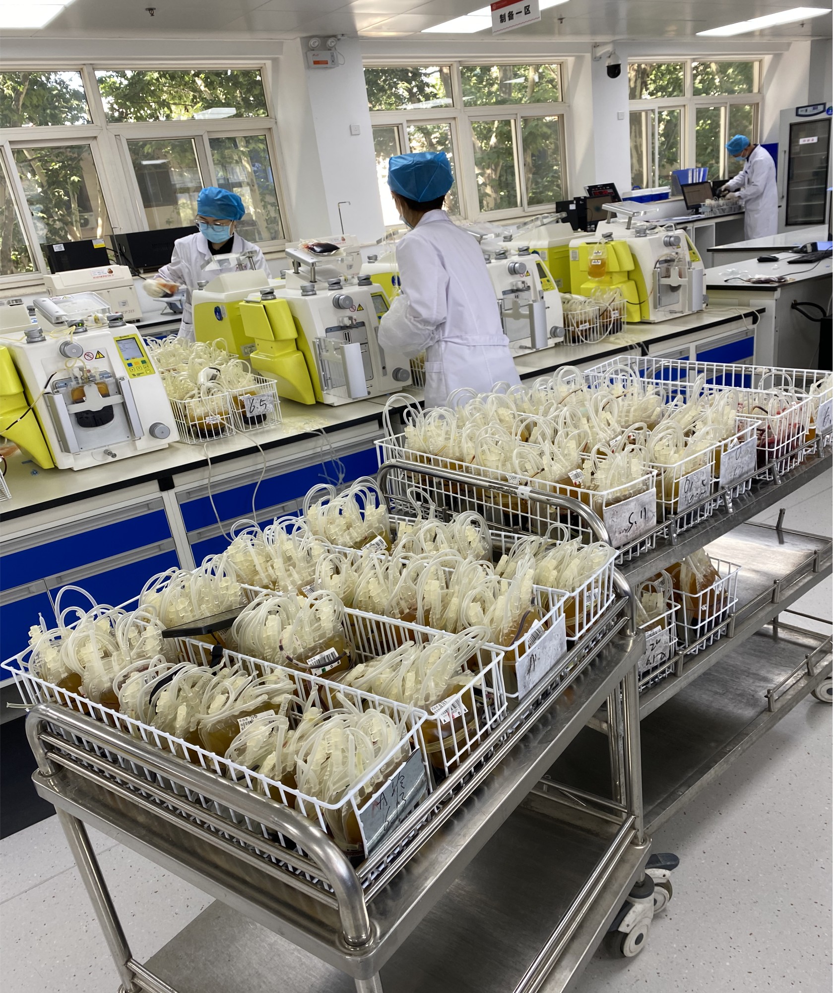 铸就生命 守护爱心