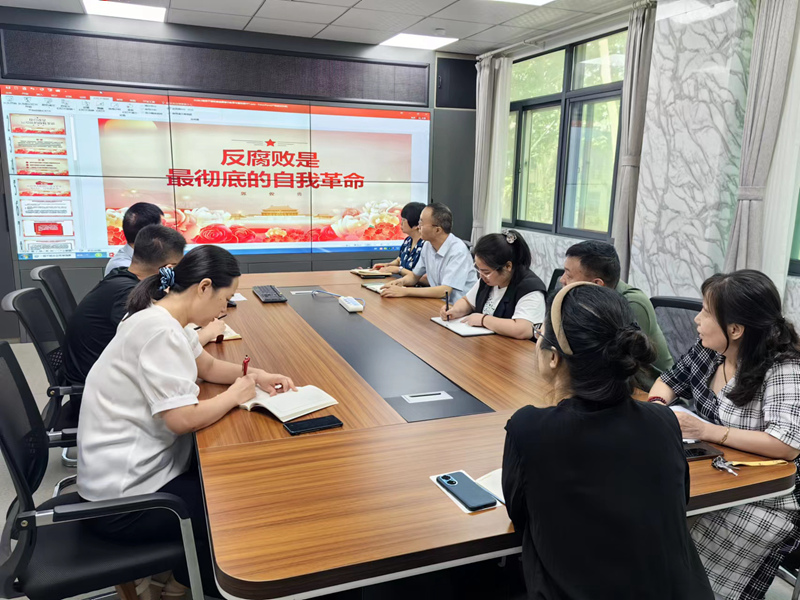 业务管理党支部开展主题教育专题党课